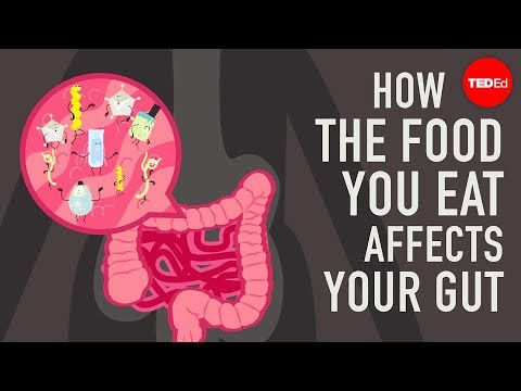 How the food you eat affects your gut - Shilpa Ravella - UCsooa4yRKGN_zEE8iknghZA