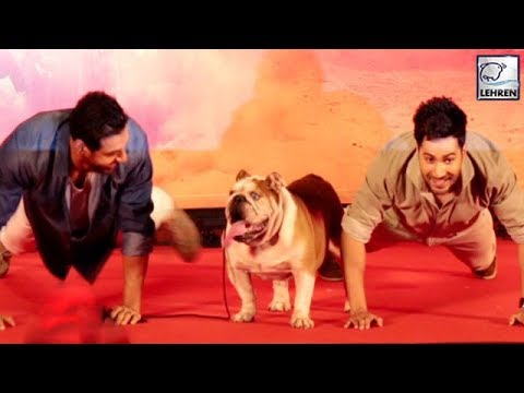 Video - Bollywood Celebs Playing With DOGS Is Too Cute To Handle #India #Bollywood