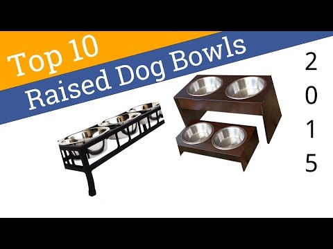 10 Best Raised Dog Bowls 2015 - UCXAHpX2xDhmjqtA-ANgsGmw