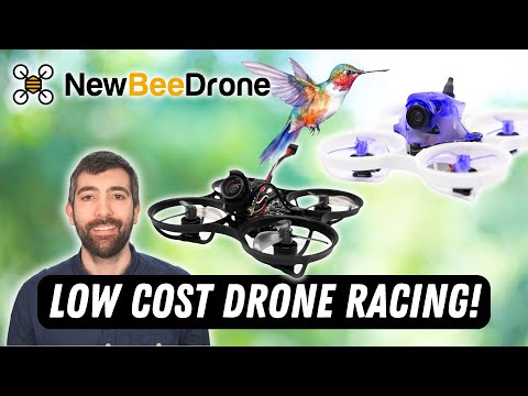 Get into FPV Drone racing for under $100! NewBeeDrone Hummingbird - UC45_6KVAAZG_iOgzksGswMw