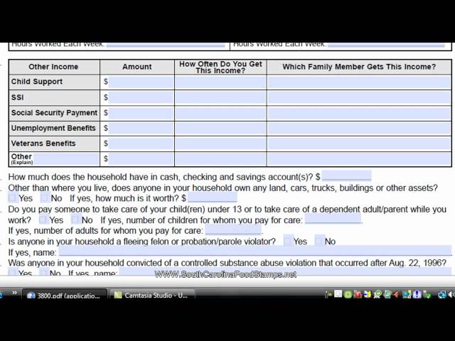 How to Apply for Food Stamps in South Carolina
