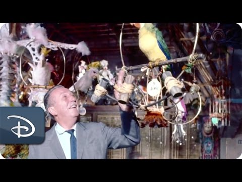 Behind the Scenes at Walt Disney's Enchanted Tiki Room - UC1xwwLwm6WSMbUn_Tp597hQ