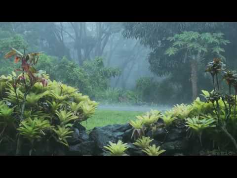 [432 Hz Music] Meditación de la Lluvia (Video) - UCAa4STSndzQQb0lNxZR1JcA