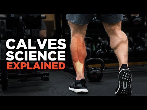 The Most Scientific Way to Train CALVES in 2018 (Science Explained) - UC68TLK0mAEzUyHx5x5k-S1Q