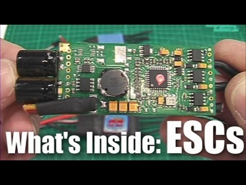 What's inside: ESCs - UCahqHsTaADV8MMmj2D5i1Vw