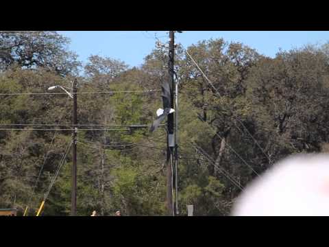 Flying eagle crashed - Zilker Park in Austin Texas 2012 - UCTs-d2DgyuJVRICivxe2Ktg