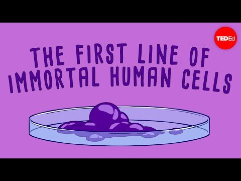 The immortal cells of Henrietta Lacks - Robin Bulleri - UCsooa4yRKGN_zEE8iknghZA