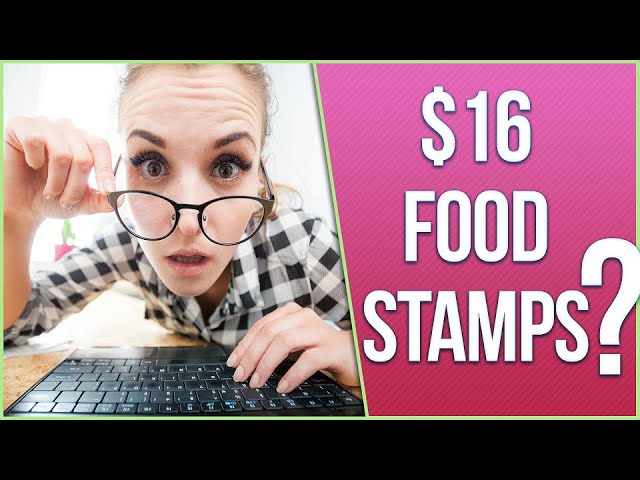 Why Am I Only Getting $19 In Food Stamps?