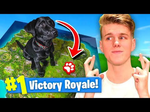 Using A PUPPY To WIN FORTNITE Battle Royale! - UCh7EqOZt7EvO2osuKbIlpGg