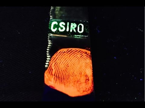 Tomorrow Daily - New crimefighting technique makes fingerprints glow neon, Ep. 263 - UCOmcA3f_RrH6b9NmcNa4tdg
