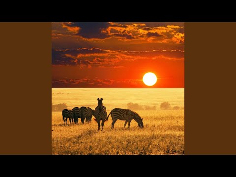 SAVANA