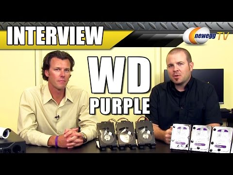 WD Purple Surveillance Storage Interview - Newegg TV - UCJ1rSlahM7TYWGxEscL0g7Q