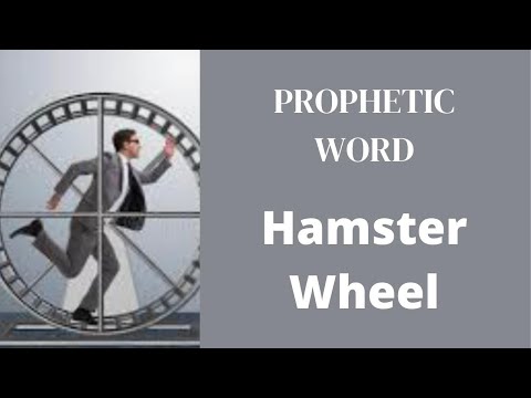 Prophetic Word - Hamster Wheel