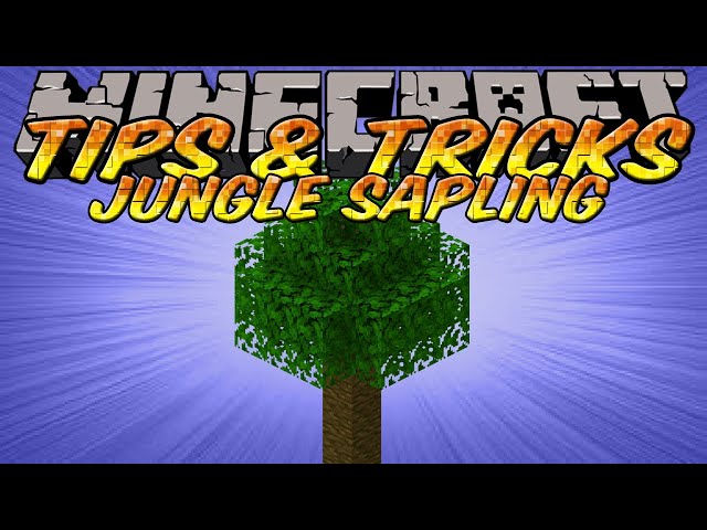 How to Get and Grow MORE Jungle Saplings in Minecraft