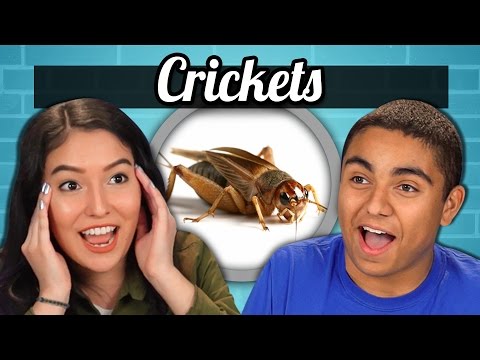 TEENS vs. FOOD - CRICKETS - UCHEf6T_gVq4tlW5i91ESiWg