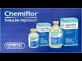 Chemiflor Antibiótico Injetável 100ml p/ Bovinos - Chemitec