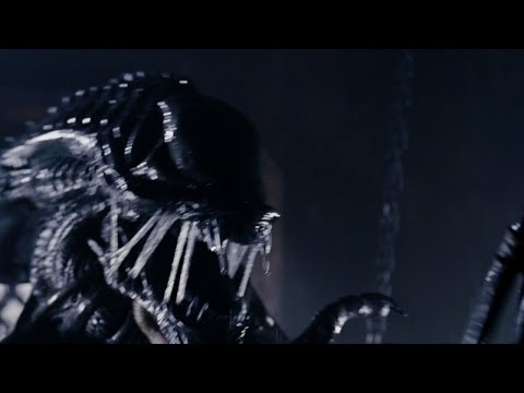Alien Vs. Predator Halloween Horror Nights Announcement - UCKy1dAqELo0zrOtPkf0eTMw