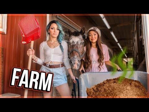 TWINS TRY Working on a Farm - UCuVHOs0H5hvAHGr8O4yIBNQ