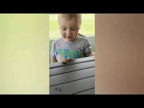 Cute Babies Meet Animals in The Small Garden Baby Outdoor Videos