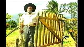THE ANSWER - Jamaican Movie Staring Charles Hyatt & Fabian Thomas 1990