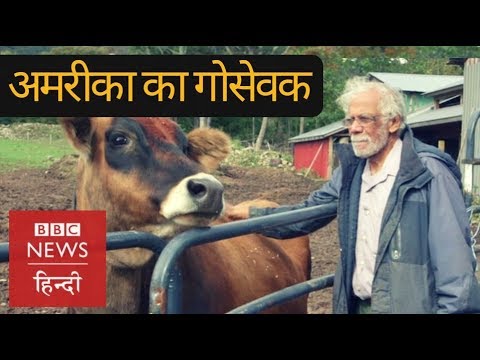 WATCH #Special | Shankar Shastri, An Indian Origin man in America Maintains a Cow Sanctuary in US (BBC Hindi) #NRI #Hindu