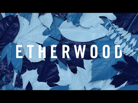 Etherwood - The Rain Will Fall (feat. LSB) - UCNyo1qwT4ZKuoWsyrrdoc6g