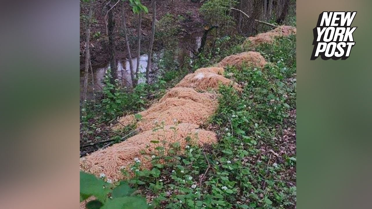 Hundreds of pounds of cooked pasta mysteriously dumped in New Jersey woods | New York Post
