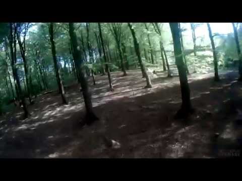 50min FPV race with QAV250 in the woods :) with crashes ;) - UCnMVXP7Tlbs5i97QvBQcVvw