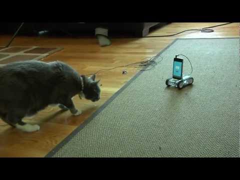 Quick Look at the Romo Smartphone Robot - UCiDJtJKMICpb9B1qf7qjEOA