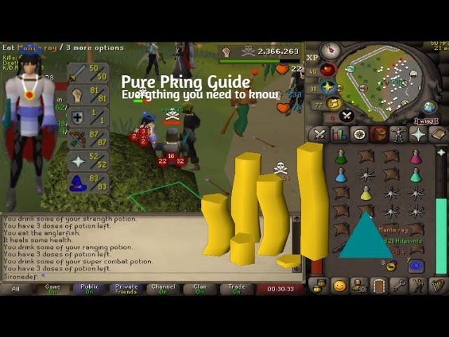 All OSRS Pking Builds (Pure Pking Guide)