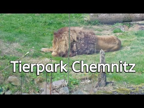 Tierpark Chemnitz - UCNWVhopT5VjgRdDspxW2IYQ