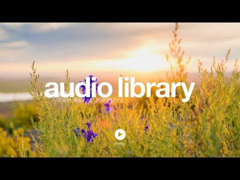 SIDEWALK - Jason Shaw (No Copyright Music) - UCht8qITGkBvXKsR1Byln-wA