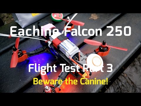 Eachine Falcon 250 from Banggood.com - Flight Test Part 3 - Beware the Canine! - UCS1D0FdTMk5ZKeVa52QD_iw