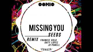 Seeds - Missing You (Frankie Volo Remix)
