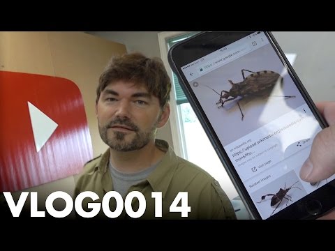 KNOPTOP'S FIRST FLIGHT – KISSING BUGS | VLOG0014 - UC9zTuyWffK9ckEz1216noAw