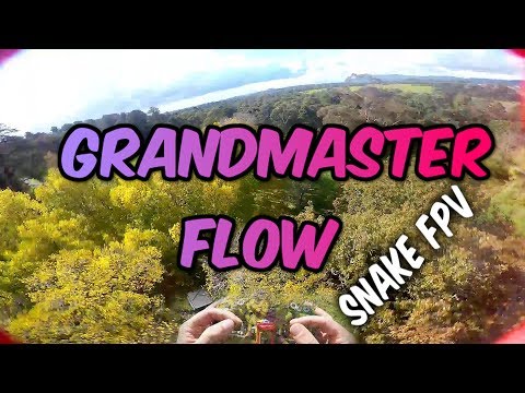 Taking on one of the BEST FPV FREESTYLE pilots. Pilot Showcase Snake FPV - UC3ioIOr3tH6Yz8qzr418R-g