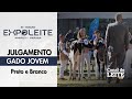 Expoleite Arapoti-PR  - Julgamento do Gado Jovem da Raça Holandesa PB