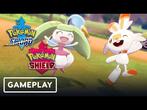 Pokemon Sword and Shield: Pokemon Camp, Cooking, and Cosmetics Reveal - UCKy1dAqELo0zrOtPkf0eTMw