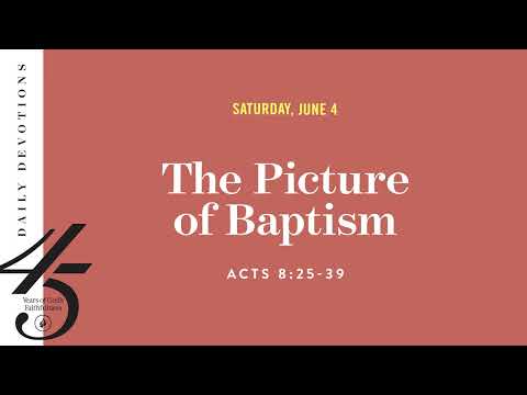 The Picture of Baptism  Daily Devotional