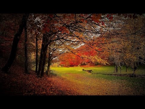 Beautiful Autumn Music - October - UCjMZjGhrFq_4llVS_x2XJ_w