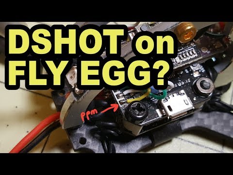 FLY EGG 100 & 130 DSHOT Tutorial  - UCnJyFn_66GMfAbz1AW9MqbQ