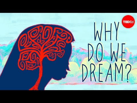 Why do we dream? - Amy Adkins - UCsooa4yRKGN_zEE8iknghZA