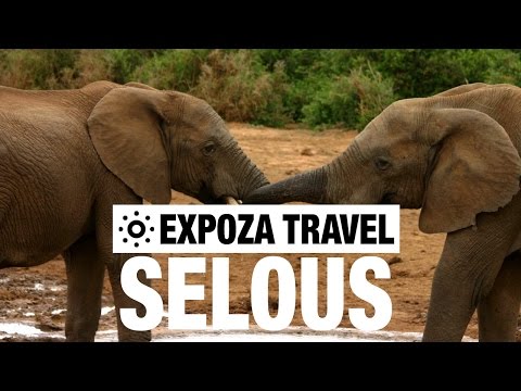 Selous Game Reserve Vacation Travel Video Guide - UC3o_gaqvLoPSRVMc2GmkDrg