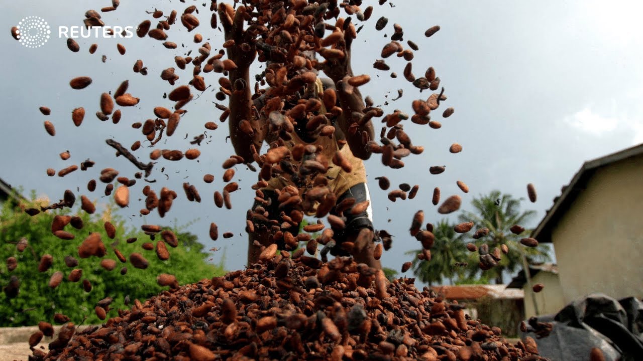 Africa in Business: cocoa and climate change