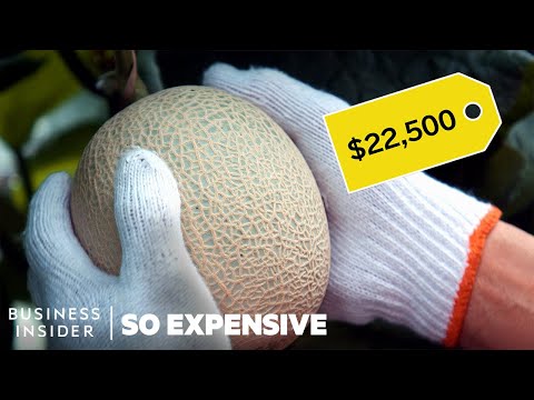 Why Japanese Melons Are So Expensive | So Expensive - UCcyq283he07B7_KUX07mmtA