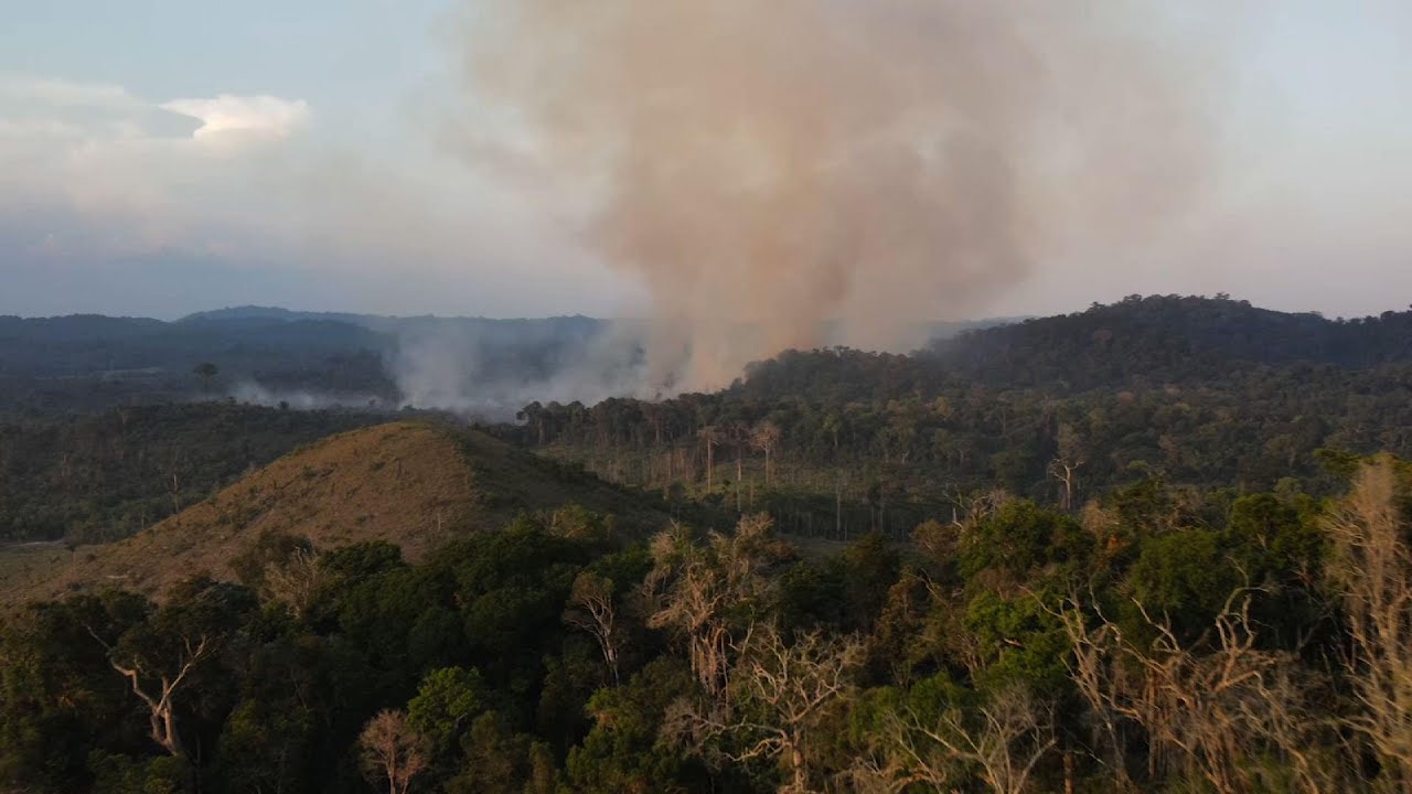 Amazon fires high numbers blamed on deforestation