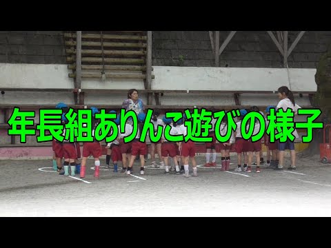 年長組『ありんこあそび』の様子
