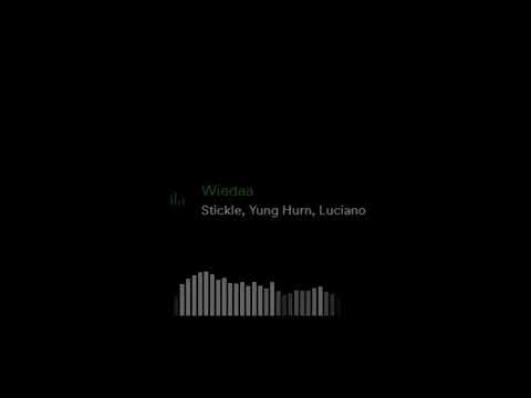 Wiedaa - Stickle feat. Yung Hurn & Luciano (slowed & reverb)