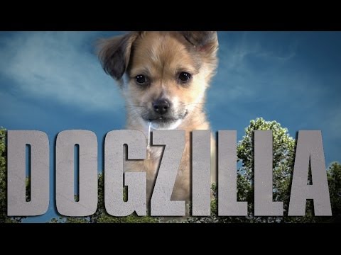 Godzilla (Cute Puppy Version) - UCPIvT-zcQl2H0vabdXJGcpg