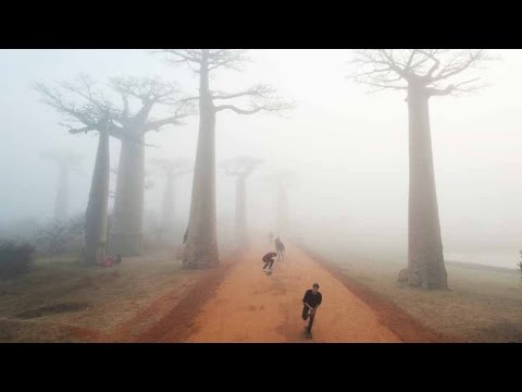 Skateboarding in Madagascar - Expect the Unexpected - Part 1 - UCblfuW_4rakIf2h6aqANefA